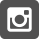 ig icon