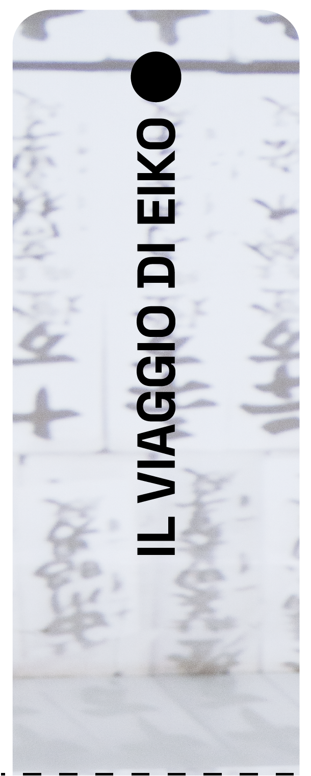 bt viaggioeiko