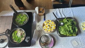 laboratorio miam 3 2026 05 24 at 23.42.28